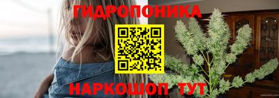 мяу мяу мука Гай