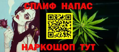 прущие грибы Гагарин